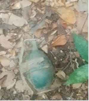 Granada apareció en un barrio de Girón