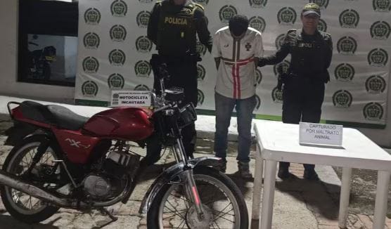 Infeliz mató a un perrito a patadas porque se le atravesó en la carretera