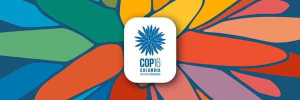 Unión por la biodiversidad: Colombia lanza #ViernesDeCOP16
