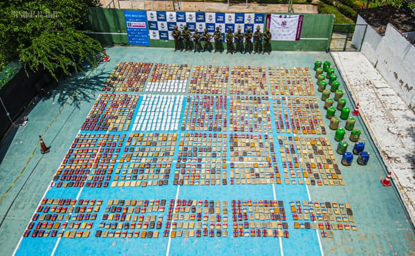 Golpe al narcotráfico: Desmantelada gran caleta de marihuana tipo sativa