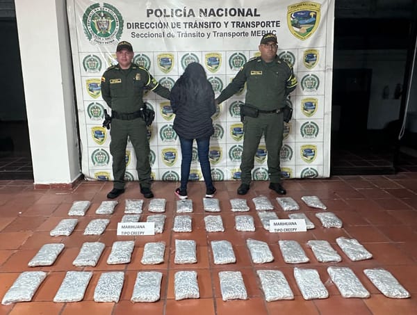 Millonaria incautación de alucinógenos en Lebrija