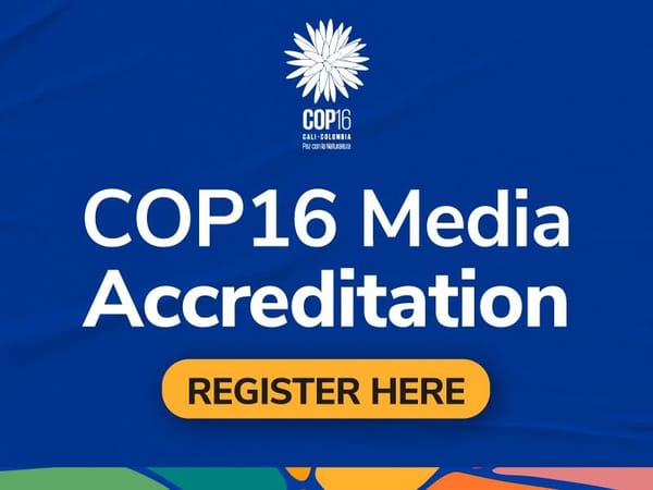 Amplían plazo para participar en Zona Verde de la COP16 en Cali
