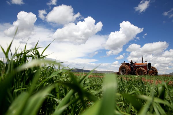 Sector agropecuario destaca con un incremento del 10.2% en abril