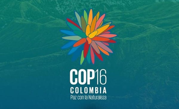 Colombia presenta kit educativo para promover la biodiversidad en la COP16