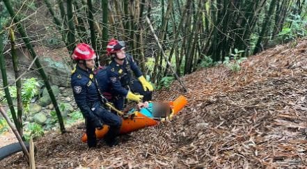 Por ataque de perros Pitbull dos mujeres cayeron a un abismo en Floridablanca