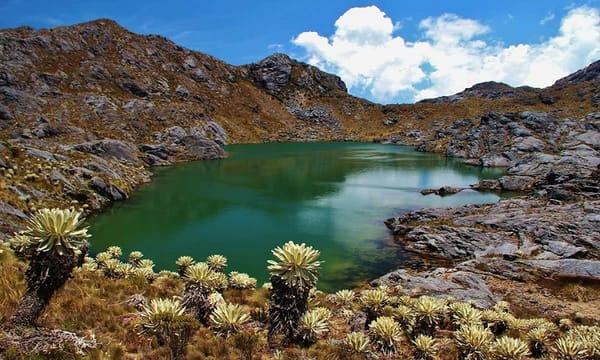 Ministra de Ambiente visitará el Páramo de Santurbán