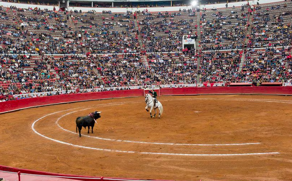 Plazas de toros se transformarán en mercados campesinos