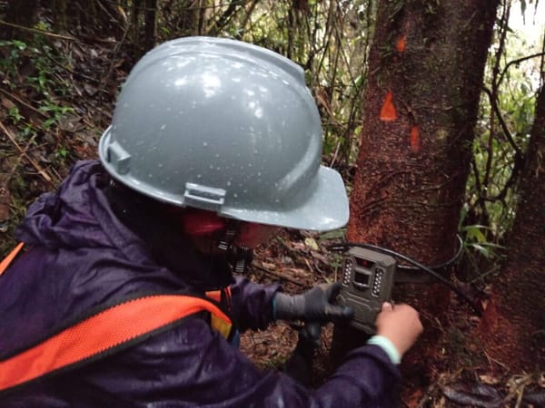UIS Málaga y Cartón de Colombia investigan biodiversidad en bosques de Caldas