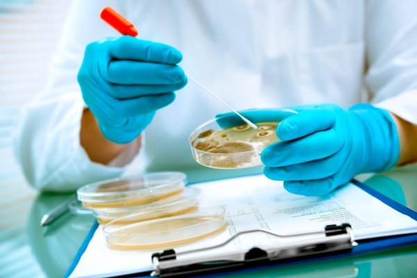 UDES destaca internacionalmente en educación de Laboratorio Clínico y Bacteriología