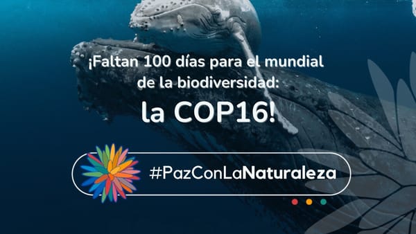 Conteo regresivo: Colombia listo para la COP16 sobre biodiversidad en Cali