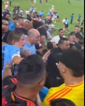 Conmebol abrió expediente tras gresca en la tribuna