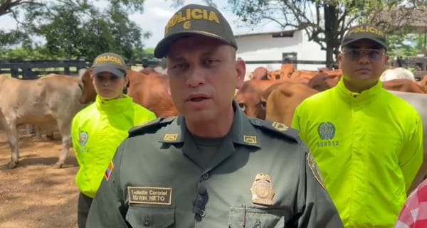 Millonaria recuperación de cabezas de ganado en Puerto Berrío