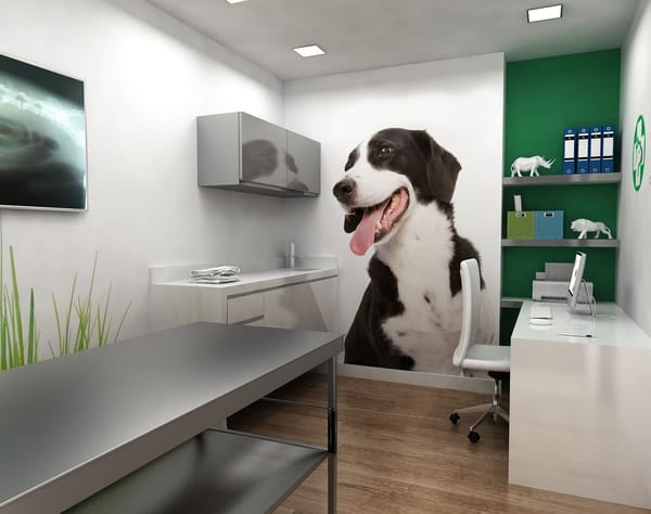 Estudiantes mexicanos crean plataforma web para optimizar citas veterinarias en la UDES