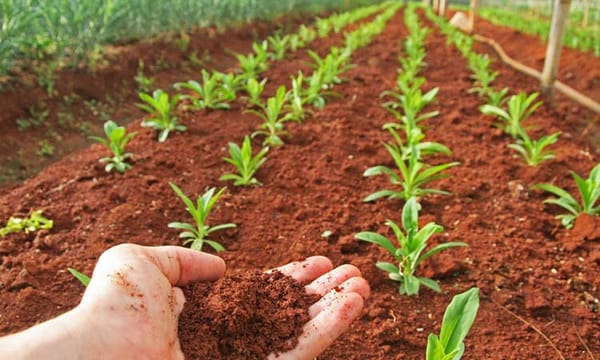 Santander impulsa su sector agrícola