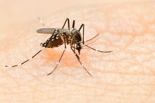 Crisis de dengue y deuda hospitalaria