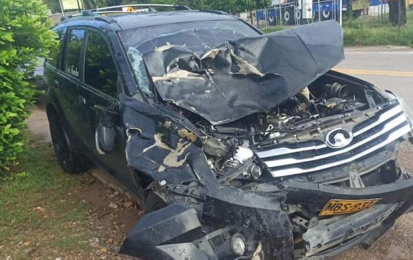 Un par de búfalos se le atravesaron violentamente a coche fúnebre