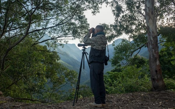 Smartfilms abre convocatoria para cortos sobre "Paz con la Naturaleza"