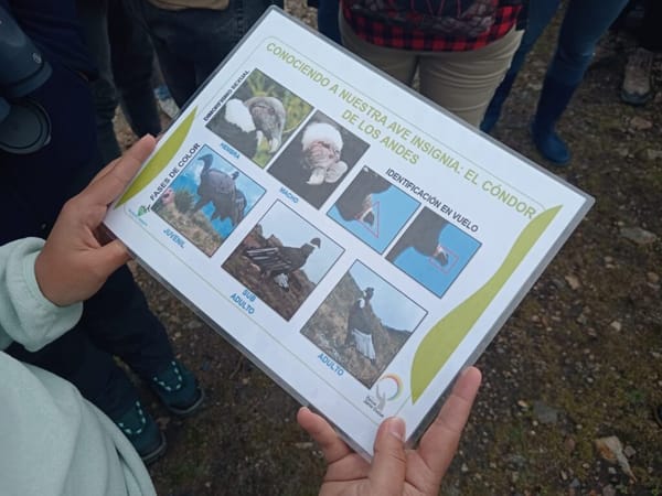 Semillero 'Los Cloroplastos' realizó investigación en la reserva natural 'La Piedra del Cóndor'
