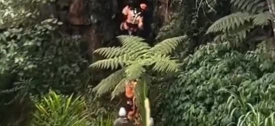Perrito completó 5 días atrapado en el Salto del Duende