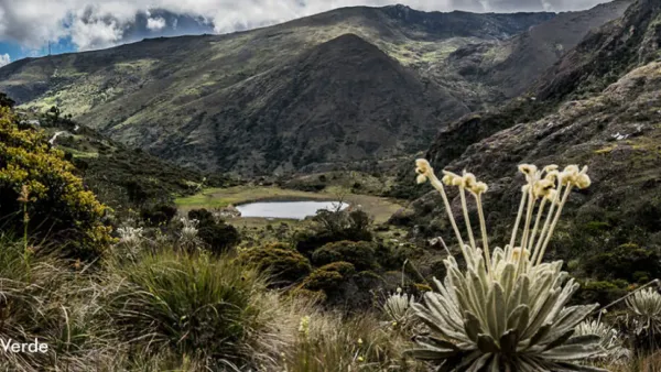 Páramo de Santurbán estaría siendo amenazado por 'Los Paisas'