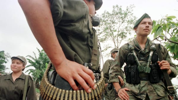 Autoridades rescataron a una menor de las garras de las Disidencias FARC