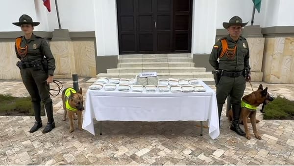 Millonaria incautación de narcoencomienda