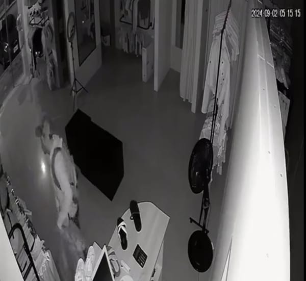 Criminal aprovechó la madrugada para robar local en Piedecuesta