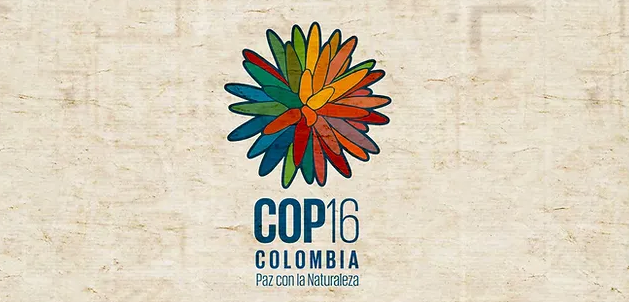 COP16 de Biodiversidad: 10 jefes de estado y 14.500 participantes confirmados