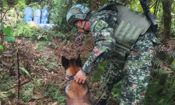 Incursión militar en el Tarra frustró atentado del ELN
