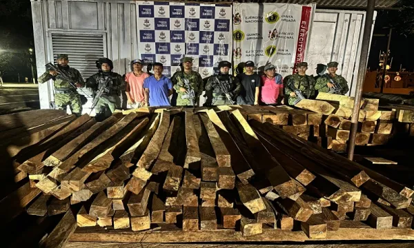 Cuatro capturados por tala ilegal de árboles en el río Magdalena