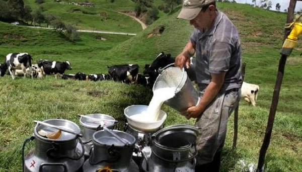Crisis de alimentos en Santander: Paro de camioneros afecta suministro de leche y carne de res