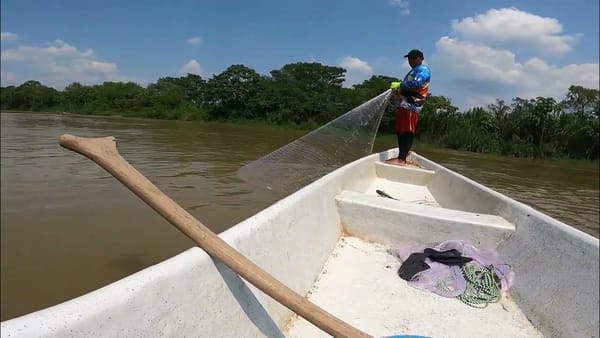 Gremio pesquero en Barrancabermeja exige su lugar en la contratación para limpieza de caños y ciénagas