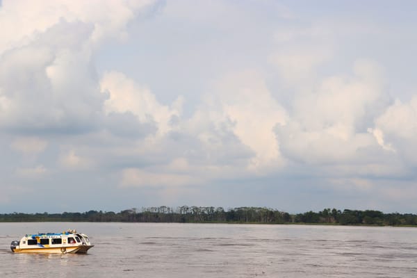Prohíben pesca en el río Magdalena para proteger especies en riesgo
