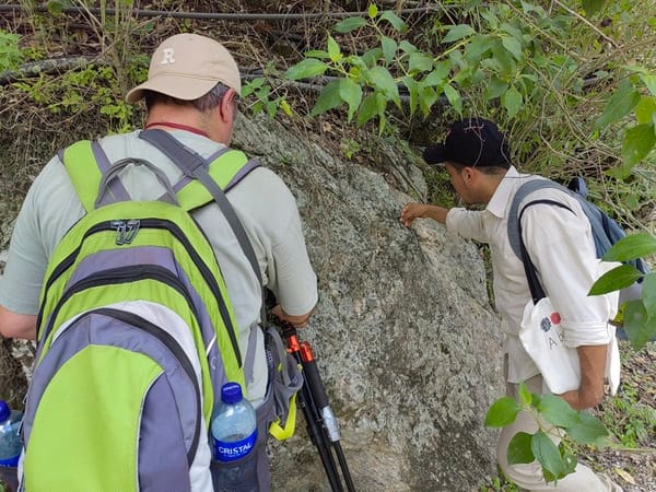 Hallan 120 nuevas especies de líquenes en el Cañón del Chicamocha