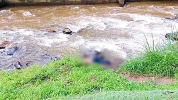 Un cuerpo apareció flotando misteriosamente en Lebrija