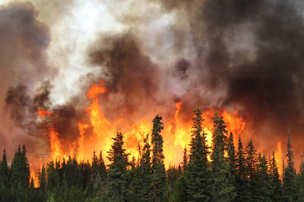Cambio climático eleva incendios forestales a niveles críticos