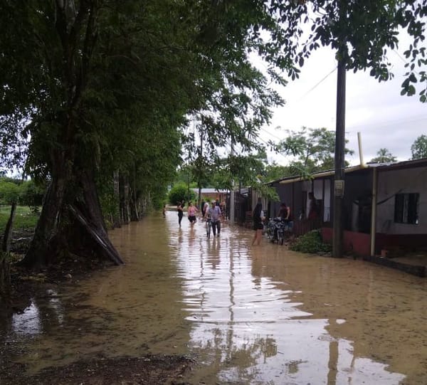Fuertes lluvias causan estragos en zona rural de Sabana de Torres