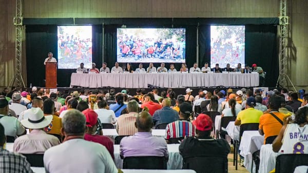 14.7 millones de alevinos serán sembrados en el Magdalena Medio
