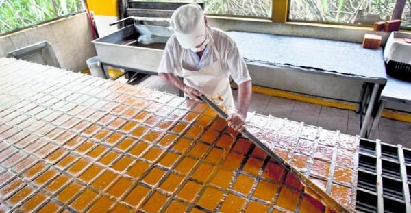 Santander celebra su tradición panelera
