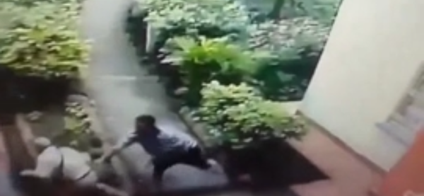 Abuelito fue golpeado brutalmente durante atraco en Floridablanca