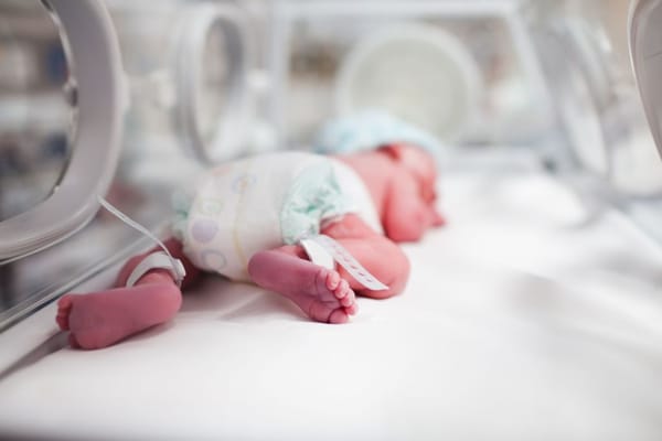 El rol crucial de los cuidados en los bebés prematuros