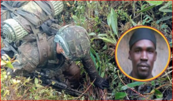 Cabecilla del ELN exterminado a bala