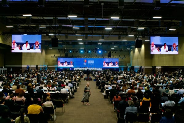 COP16: Cali sentó las bases para la conservación y la equidad en la biodiversidad