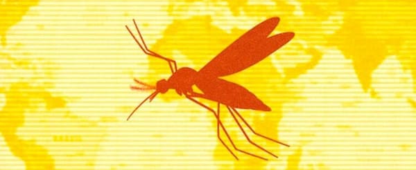 Santander refuerza medidas contra la Fiebre Amarilla