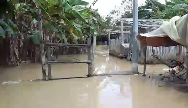 Río Lebrija arrasa con cultivos y viviendas en Sabana de Torres