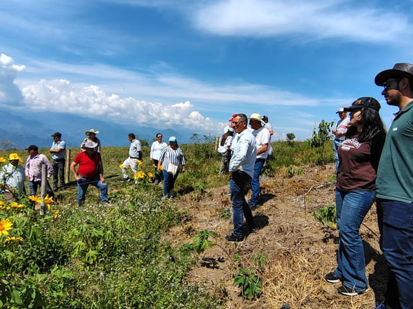 AGROSAVIA y Fedegan siembran futuro sostenible para ganadería santandereana