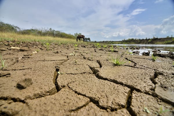 Ideam anuncia temporada seca que se extenderá hasta marzo de 2025