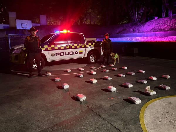 Masiva incautación de marihuana en Girón