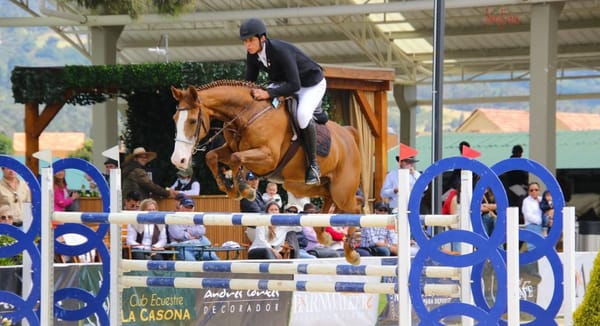 Los caballos de salto colombianos una potencia en América Latina