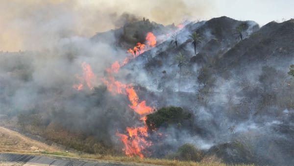 Incendios forestales devoran 100 hectáreas en Santander y ola de calor agrava el panorama